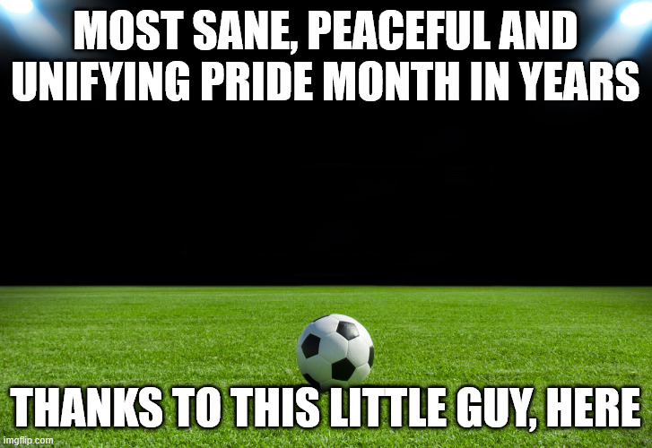Soccer | Most sane, peaceful and unifying pride month in years; thanks to this little guy, here | image tagged in soccer | made w/ Imgflip meme maker