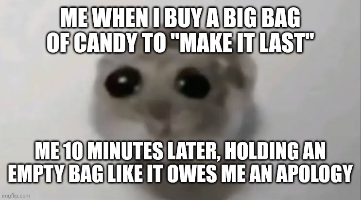 Sad Hamster | ME WHEN I BUY A BIG BAG OF CANDY TO "MAKE IT LAST"; ME 10 MINUTES LATER, HOLDING AN EMPTY BAG LIKE IT OWES ME AN APOLOGY | image tagged in sad hamster | made w/ Imgflip meme maker