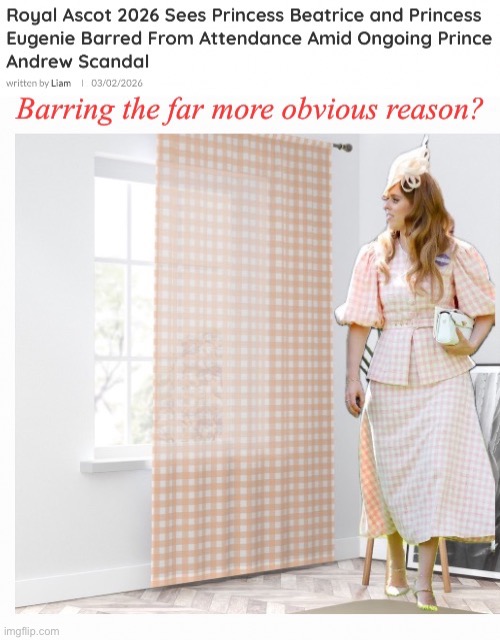 Window Dressing....The Elephant In The Room | image tagged in she saw it in the window and couldn't resist it,complicit benefactor | made w/ Imgflip meme maker