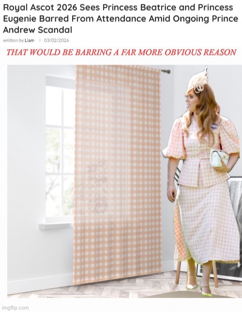 She Saw It In The Window And Couldn't Resist It | image tagged in can't buy taste,complicit benefactor,revisionist enabler | made w/ Imgflip meme maker