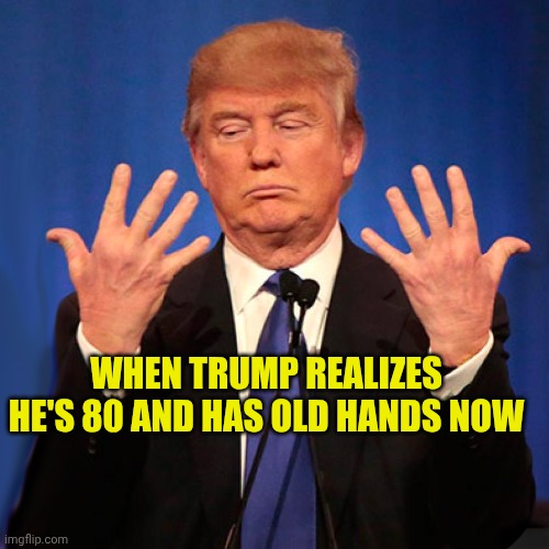 Trump hands | When trump realizes he's 80 and has old hands now | image tagged in trump hands | made w/ Imgflip meme maker