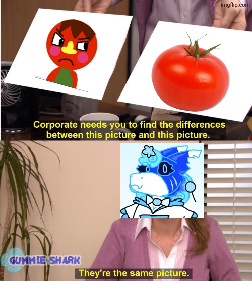 Bro HANKEY3469 you're built like a f*cking tomato stfu | image tagged in memes,they're the same picture,tomato,bros built like a tomato,hankey3469 | made w/ Imgflip meme maker
