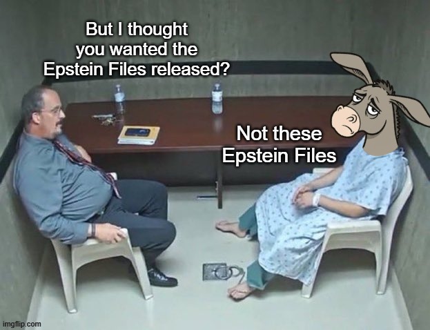 But I thought you wanted the Epstein Files released? Not these Epstein Files | made w/ Imgflip meme maker