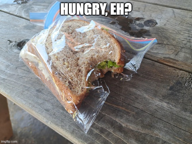 Hungry? | hungry, eh? | image tagged in unsee juice | made w/ Imgflip meme maker