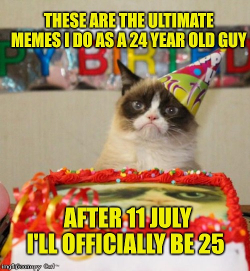Time flies | These are the ultimate memes I do as a 24 year old guy; After 11 July I'll officially be 25 | image tagged in memes,grumpy cat birthday,grumpy cat | made w/ Imgflip meme maker