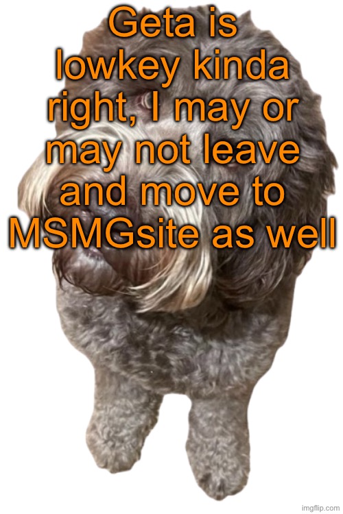 Only that I will go off with a bigger bang than Geta | Geta is lowkey kinda right, I may or may not leave and move to MSMGsite as well | image tagged in northers dog transparent | made w/ Imgflip meme maker