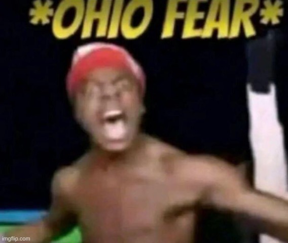 anyways the only thing i kinda wanted to say is that i'll probably be hella offline all summer | image tagged in ohio fear | made w/ Imgflip meme maker