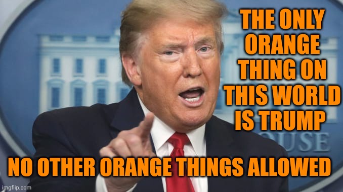 Trump points and talks | The only orange thing on this world is trump No other orange things allowed | image tagged in trump points and talks | made w/ Imgflip meme maker