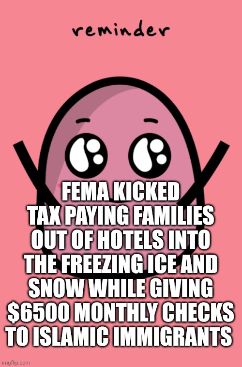 Fema kicked tax paying families out of hotels into the freezing ice and snow while giving $6500 monthly checks to Islamic immigrants | image tagged in images png | made w/ Imgflip meme maker