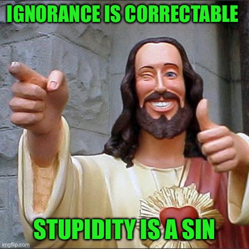 Buddy Christ Meme | Ignorance is correctable; Stupidity is a sin | image tagged in memes,buddy christ | made w/ Imgflip meme maker
