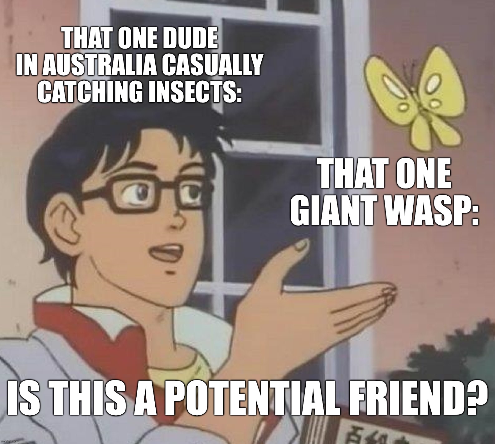 Is This A Pigeon Meme | That One Dude In Australia Casually Catching Insects:; That One Giant Wasp:; Is This a Potential Friend? | image tagged in memes,is this a pigeon | made w/ Imgflip meme maker