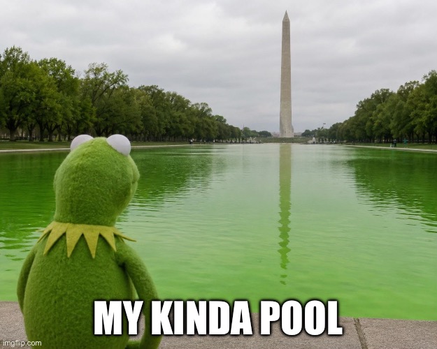 It’s not easy being green | My kinda pool | image tagged in kermit reflecting pool,green,kermit the frog | made w/ Imgflip meme maker