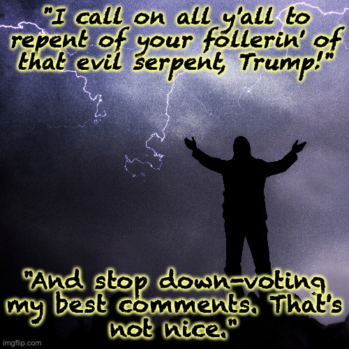 You'll thank me later. | "I call on all y'all to
repent of your follerin' of
that evil serpent, Trump!"; "And stop down-voting
my best comments. That's
not nice." | image tagged in memes,trump,sermon on the mount | made w/ Imgflip meme maker