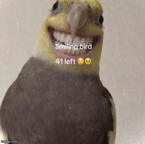 No meme. but we need to save this innocent species from extinction :( | image tagged in bird | made w/ Imgflip meme maker