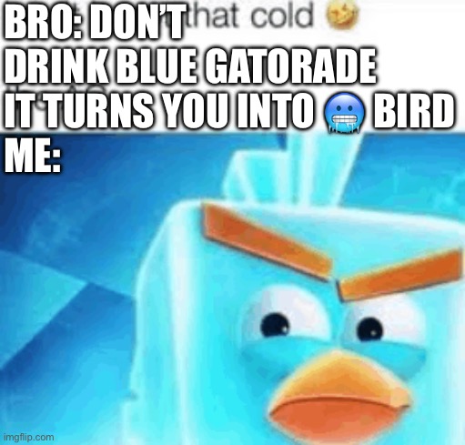 ??? | Bro: don’t drink blue Gatorade it turns you into 🥶 bird
Me: | image tagged in img_1983 png | made w/ Imgflip meme maker