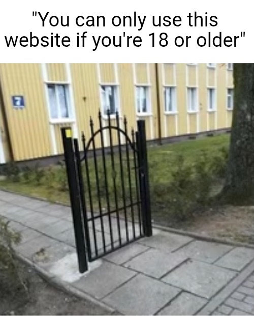 This feels like an Iceu meme for some reason | "You can only use this website if you're 18 or older" | image tagged in gate,adults,18 plus,guarded,security,true | made w/ Imgflip meme maker