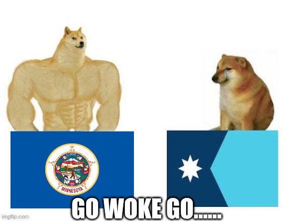 Minnesota meme | go woke go...... | image tagged in minnesota,woke,shitty,garbage,flag,somali fraud | made w/ Imgflip meme maker