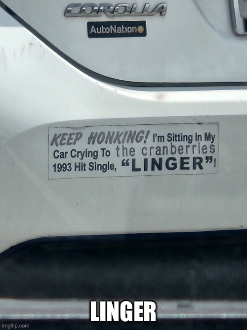 Linger | Linger | image tagged in img_6311 jpeg,linger | made w/ Imgflip meme maker