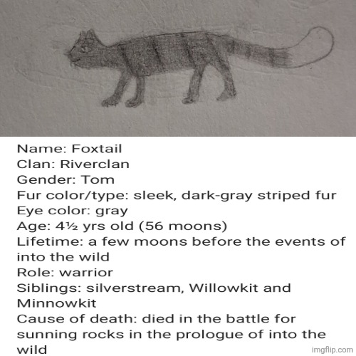 My first warrior cats OC: updated description (I'll delete the other one to make other people's memes seen) | image tagged in warrior cats,oc | made w/ Imgflip meme maker