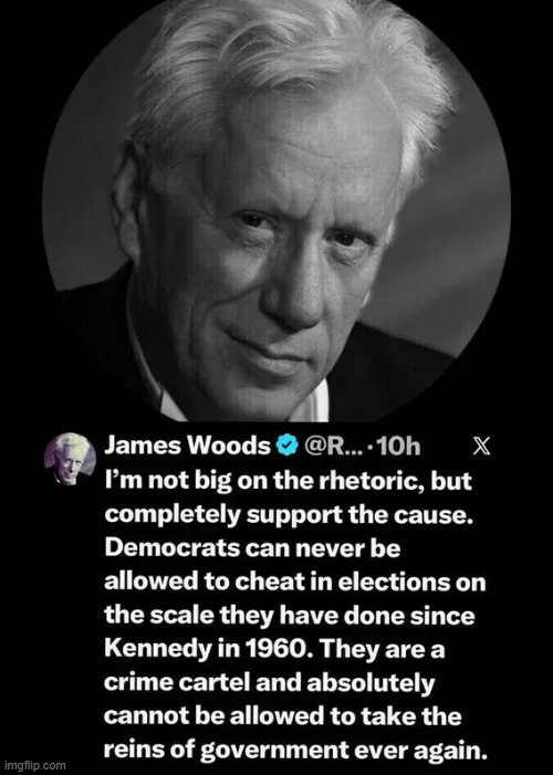 Democrats...our enemies within | image tagged in james woods,democrats,cheaters,cheat | made w/ Imgflip meme maker