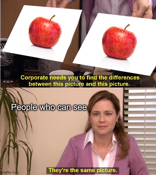 People with eyes | People who can see | image tagged in memes,they're the same picture | made w/ Imgflip meme maker