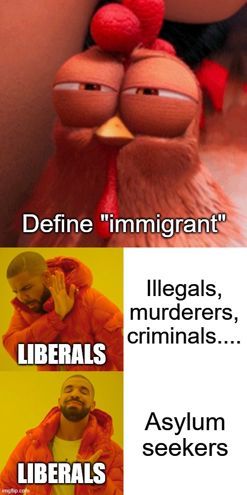 Define "immigrant"; Illegals, murderers, criminals.... liberals; Asylum seekers; liberals | image tagged in disapproving chicken despicable me 2,memes,drake hotline bling | made w/ Imgflip meme maker