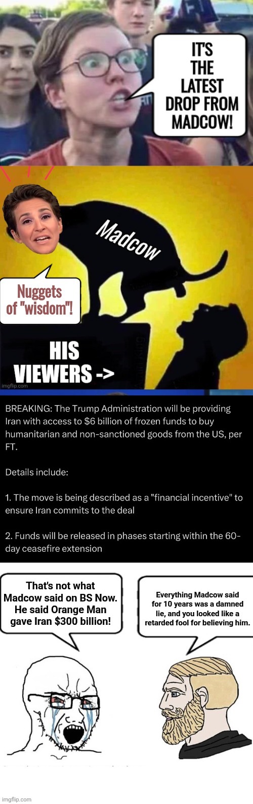 image tagged in madcow turd | made w/ Imgflip meme maker