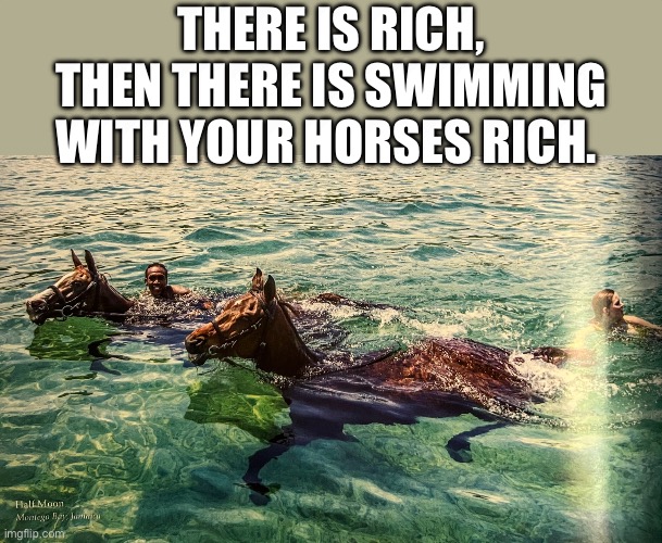 Nah. Capitalism is fine. | There is rich, then there is swimming with your horses rich. | image tagged in img_4826 jpeg | made w/ Imgflip meme maker