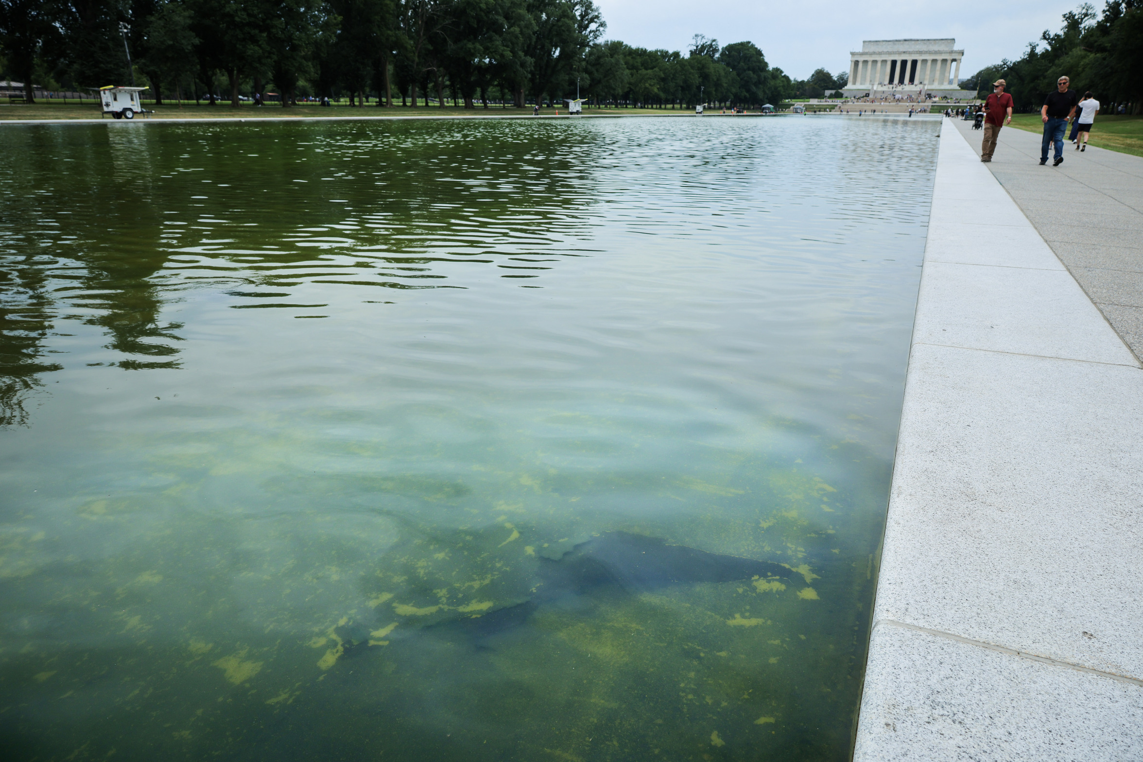 Reflecting Pool Fail Blank Meme Template