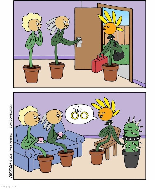 Meeting mom and dad for the first time | image tagged in comics,buni comics,flowers,cactus,married,in shock | made w/ Imgflip meme maker