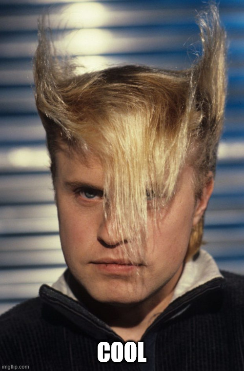 Flock of Seagulls | cool | image tagged in flock of seagulls | made w/ Imgflip meme maker