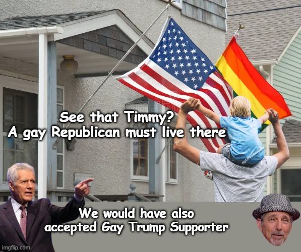 Only 27% of Dems to display American Flag for Independence Day | See that Timmy?
A gay Republican must live there; We would have also accepted Gay Trump Supporter | image tagged in gay republican american flag meme | made w/ Imgflip meme maker