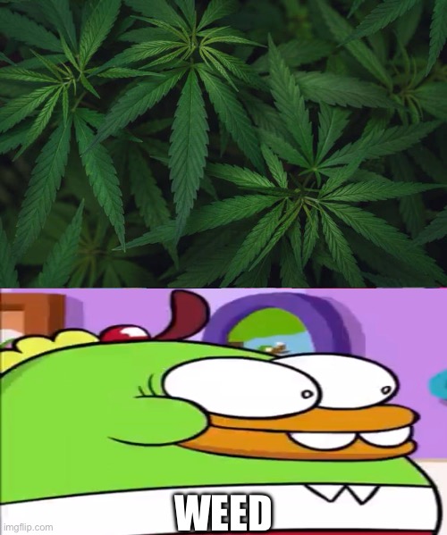 W E E D (AKA my first fill-in meme ruin) | WEED | image tagged in ruin this fill in meme 251,weed,smoking weed,smoke weed everyday,buhdeuce,goofy ahh | made w/ Imgflip meme maker