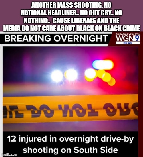 crickets | Another mass shooting, no national headlines.. no out cry.. no nothing..  cause liberals and the media do not care about black on black crime | image tagged in stupid liberals,mass shooting,wow how did you get like that updated,donald trump approves | made w/ Imgflip meme maker