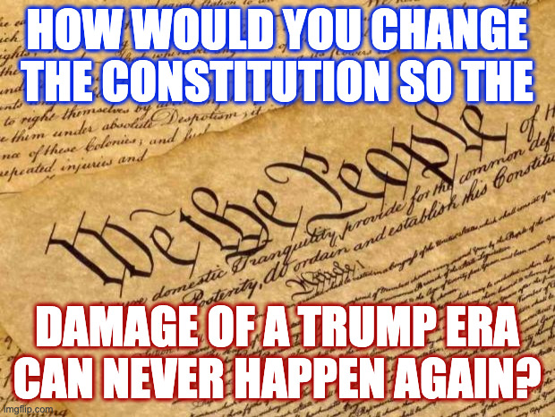 I'll write down your ideas in case I'm elected Speaker in January. | how would you change
the constitution so the; damage of a trump era
can never happen again? | image tagged in constitution,memes | made w/ Imgflip meme maker