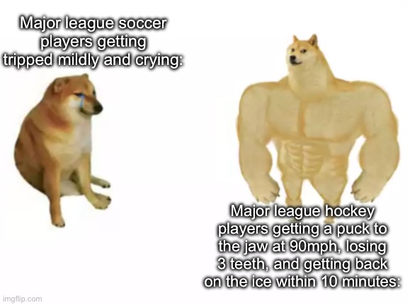 NHL players js built different | Major league soccer players getting tripped mildly and crying:; Major league hockey players getting a puck to the jaw at 90mph, losing 3 teeth, and getting back on the ice within 10 minutes: | image tagged in buff doge vs cheems reversed,soccer,hockey,world cup,nhl,funny | made w/ Imgflip meme maker