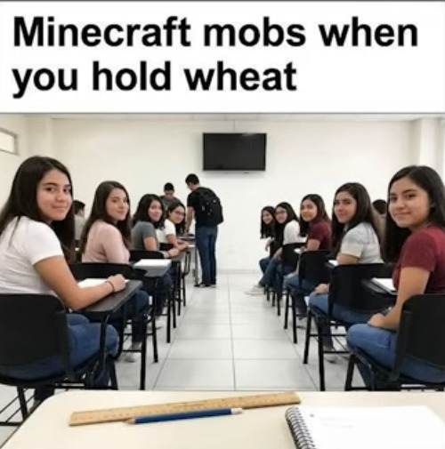 image tagged in minecraft,mobs,wheat,looking,classroom,girls | made w/ Imgflip meme maker