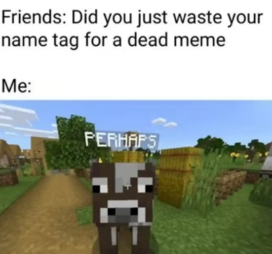 image tagged in perhaps cow,cow,minecraft,memes,dead memes,tags | made w/ Imgflip meme maker