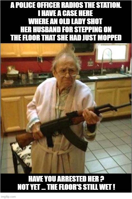 A Dangerous Granny ! | A police officer radios the station.
I have a case here 
where an old lady shot 
her husband for stepping on the floor that she had just mopped; have you arrested her ?
not yet ... the floor's still wet ! | image tagged in dangerous,granny,ak47,wet floor,murderer | made w/ Imgflip meme maker