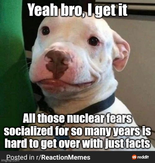 RDT_20260620_1008034914853172045282374.jpg | Yeah bro, I get it; All those nuclear fears socialized for so many years is hard to get over with just facts | image tagged in rdt_20260620_1008034914853172045282374 jpg | made w/ Imgflip meme maker
