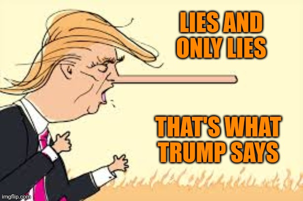 Pinocchio nose Trump | Lies and only lies; That's what Trump says | image tagged in pinocchio nose trump | made w/ Imgflip meme maker