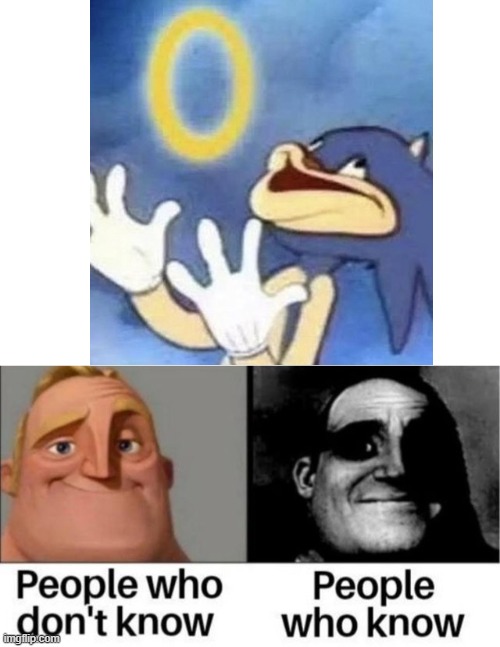 i just learned this sonic meme has horrible origins... | image tagged in people who don't know / people who know meme,sonic | made w/ Imgflip meme maker