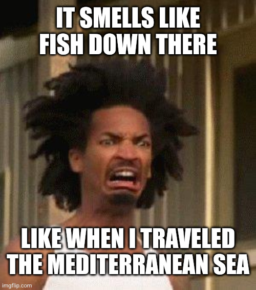 Disgusted Face | It smells like fish down there Like when I traveled the Mediterranean sea | image tagged in disgusted face | made w/ Imgflip meme maker
