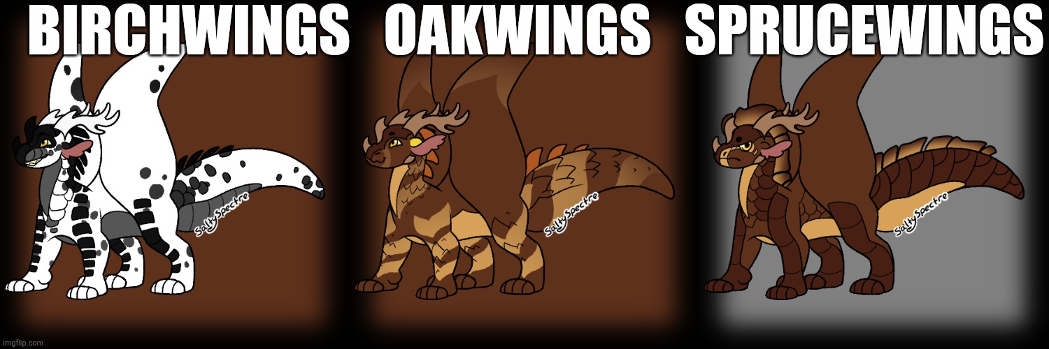 My fan tribes lol | Birchwings   Oakwings   Sprucewings | image tagged in wof,wings of fire,oc | made w/ Imgflip meme maker