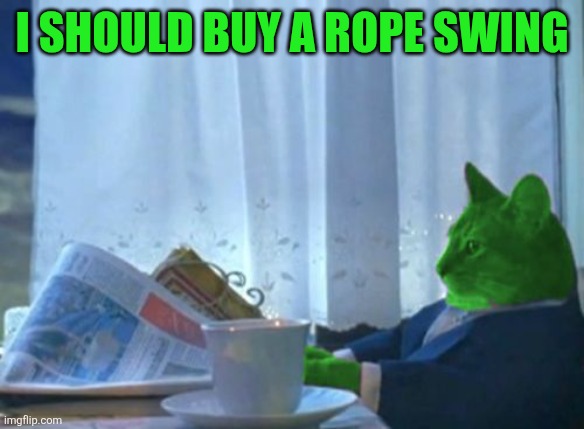 I should buy a rope swing | image tagged in i should buy a boat raycat | made w/ Imgflip meme maker