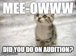 Sad Cat Meme | MEE-OWWW DID YOU DO ON AUDITION? | image tagged in memes,sad cat | made w/ Imgflip meme maker