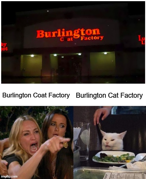 (insert creative title here) | Burlington Coat Factory; Burlington Cat Factory | image tagged in memes,woman yelling at cat,you had one job,neon | made w/ Imgflip meme maker