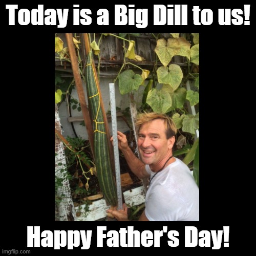 Big Dill | Today is a Big Dill to us! Happy Father's Day! | image tagged in black square,happy father's day,pun,pickle | made w/ Imgflip meme maker