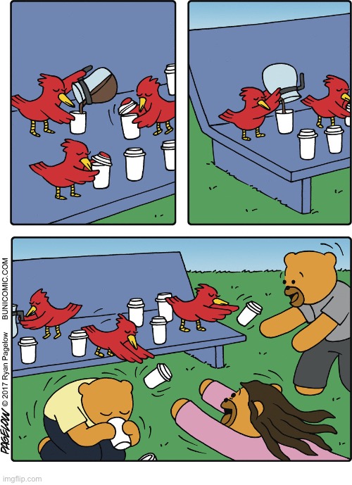 Coffee for the bears | image tagged in comics,buni comics,birds,coffee,bears,feeding | made w/ Imgflip meme maker
