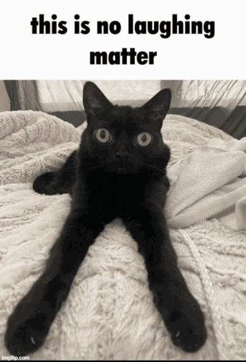 This is no laughing matter | image tagged in this is no laughing matter | made w/ Imgflip meme maker